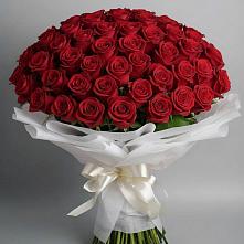 Букет 101 Красная роза Блэк Мэджик в Абрау-Дюрсо