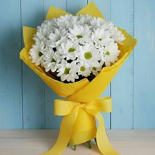 Букет цветов из:  Хризантемы в Абрау-Дюрсо