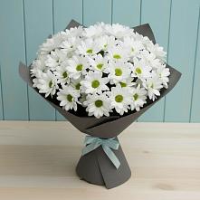 Букет цветов из:  Хризантемы #REPLACE_PRED# Абрау-Дюрсо