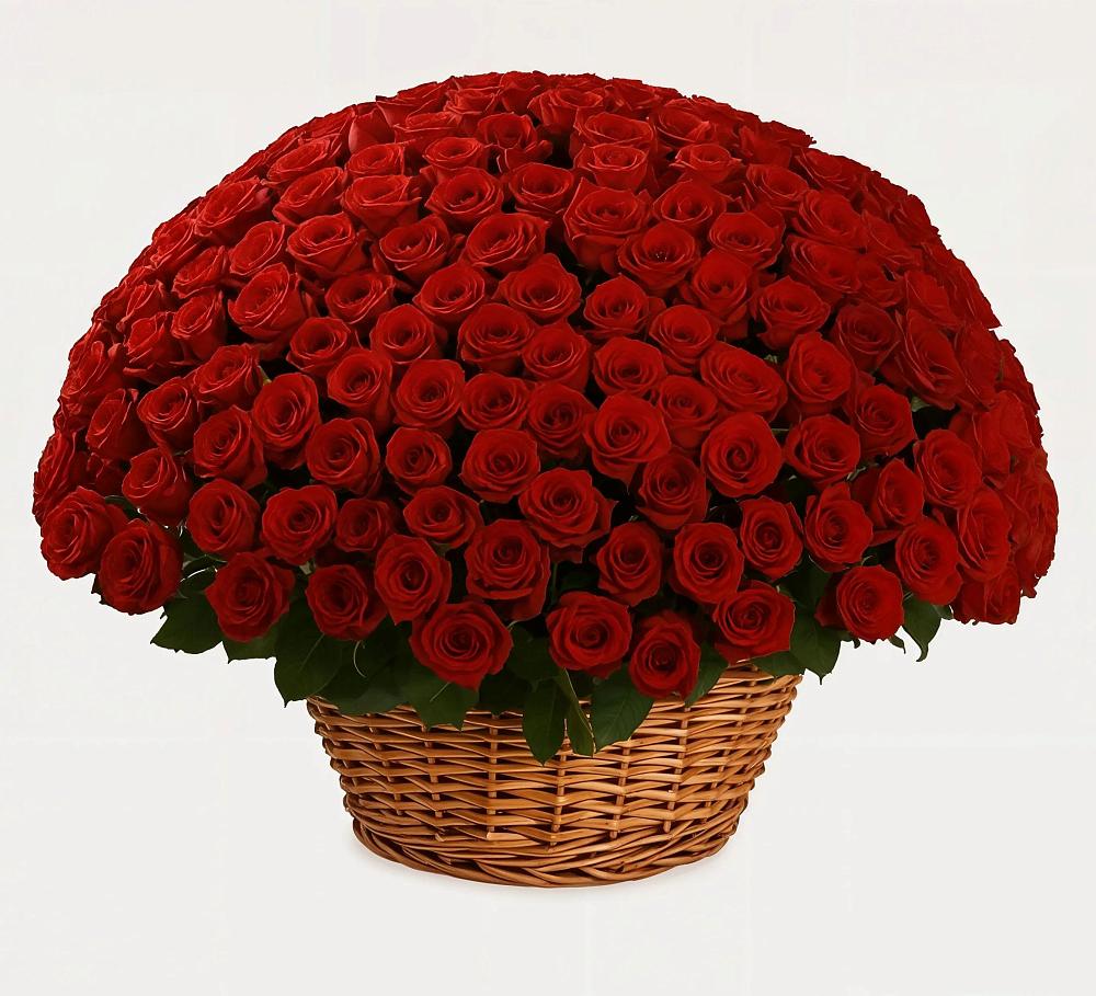 Премиум букет из: Розы в Абрау-Дюрсо