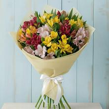 Букет цветов из:  Альстромерии #REPLACE_PRED# Абрау-Дюрсо