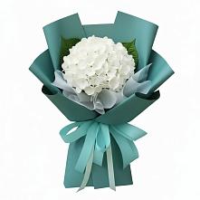 Букет цветов из:  Гортензия в Абрау-Дюрсо